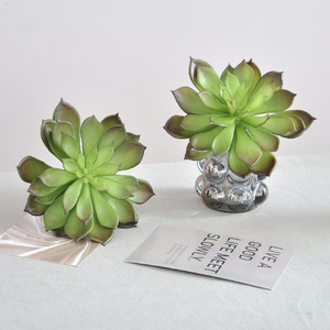 Suculenta Artificial <span class=keywords><strong>Echeveria</strong></span> al por Mayor, <span class=keywords><strong>Planta</strong></span> Artificial de Tacto Suave para Decoración del Hogar, Oficina y Terrario - Product Image 2