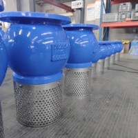 Válvula de pie de bomba de agua Válvula de retención de estructura manual práctica