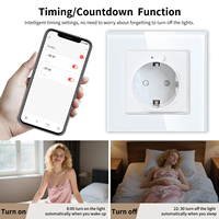 Prise murale intelligente WiFi, contrôle par application Tuya, 20A, verre trempé, 2 broches, mesure de la consommation d'énergie, télécommande, compatible Alexa, USB A/C, IP21