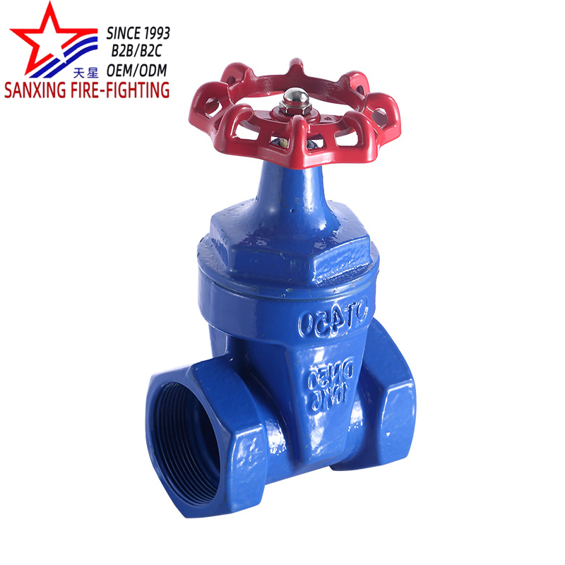 DN20 80 100 Ductile Iron Wire