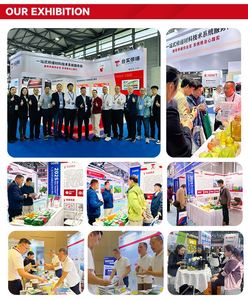 Universal Flexible Polymer <b>Cement</b> JS <b>Waterproof</b> Coating Water Resistant Wall Floor Pool Pond Coating Strong Waterproofing Modern - Product Image 6