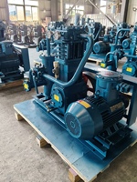 Compresseur de gaz GPL Corken ZW-0.5/10-16, compresseur industriel, compresseur de gaz de cuisson