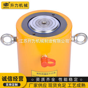 Fabricant de vérins hydrauliques de haute qualité, vérins hydrauliques à double effet de grande capacité DYG - Product Image 4