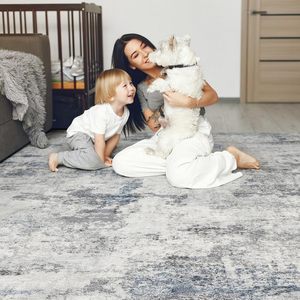 Đương Đại trừu tượng khu vực thảm cho phòng khách của bạn phòng ngủ Pha Lê Nhung thảm với đống thấp - Product Image 6