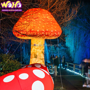 Fantasia Inflável de Balão com Impressão Digital e Cor Personalizada para Promoções Publicitárias - Product Image 4