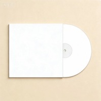 BTS ARIRANG Disque vinyle standard LP K-pop Audio analogique Édition limitée à collectionner Cadeau pour fans adultes Musique coréenne