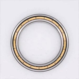 Rodamientos de Bolas de Ranura Profunda con Jaula de Latón <span class=keywords><strong>618</strong></span>/1700M <span class=keywords><strong>618</strong></span>/1700 <span class=keywords><strong>618</strong></span>/1700-M - Product Image 2