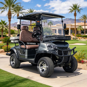 Carrito de Golf Eléctrico de 4 Ruedas con Color Personalizado, Batería de Litio de 72V, Asiento Cómodo, Apto para Clubes de Golf y Zonas de Villas - Product Image 1