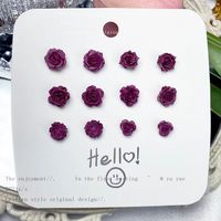 Perhiasan Telinga Fashion Terbaru Anting Bunga Mawar Merah Anggur Malam Gelap untuk Wanita Grosir