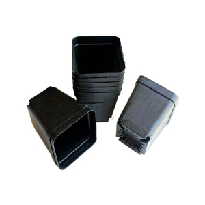 Wholesale Simple Square Fleshy Plant Plastic Flower Black Mini Flower Pot