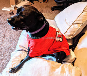 الأفضل مبيعًا ، مستلزمات حيوانات أليفة مطبوعة من البوليستر ، ملابس كرة قدم للكلاب - Product Image 4