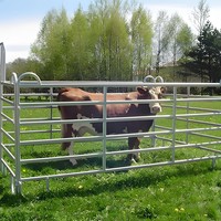 Filet de sécurité en fer mobile Corral pour chevaux de vache Piste de course de clôture pour bétail facile à installer pour les fermes Service de modélisation 3D naturel