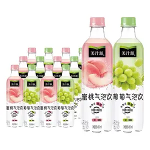 Wholesale Soft Drink Juice 480ml Various Flavors Of Juice Refreshing Carbonated Soda