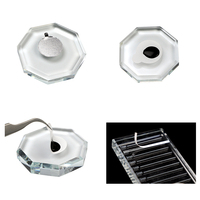 Ruban adhésif Easy Fan pour cils, autocollant pour la création de bouquets de cils, pour débutants, aide à la pose de base pour cils Mega Volume