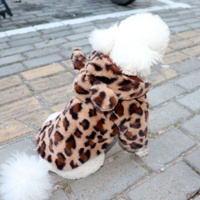 Manteau chaud d'hiver rembourré et épaissi à motif léopard en polaire, mignon et à capuche pour vêtements pour animaux de compagnie, accessoires pour chiens