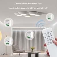 EWelink WiFi Smart Switch Contrôleur de minuterie à distance sans fil avec commande vocale Max. Courant 10A