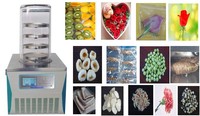 Voor Optie Lab Vriesdrogermachine Roestvrij Staal 304 Biologische Gevriesdroogde Fruitvoedselverwerkingsmachine Met Plc-Kern