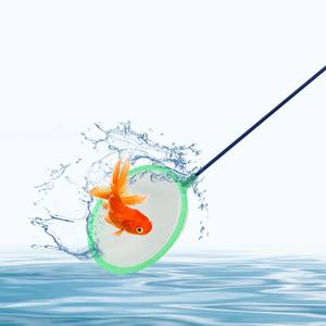 Aquarium Rond Visnet Handgemaakt Goudvis Tropisch Visnet Aquarium Visnet - Product Image 2