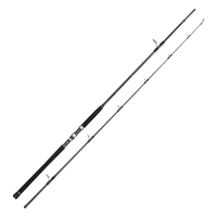 Canne à pêche Lurekiller Shore Jigging en carbone avec poignée en caoutchouc, porte-moulinet Fuji, canne de bateau 3,0 m PE 2-5 #   Canne à pêche au jigging en eau salée 40-100g