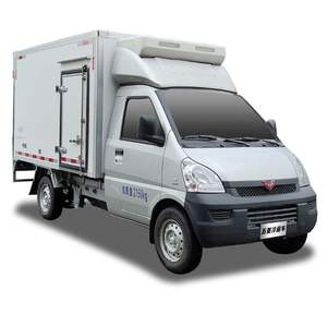 Transport spécial nourriture viande légumes fruits crème glacée poisson livraison congélateur <span class=keywords><strong>camion</strong></span> réfrigérateur voiture Wuling camionnette réfrigérée - Product Image 6
