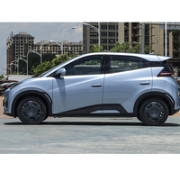 Chine BYD EV Byd Seagull EV Véhicule électrique pur Micro voiture Voiture compacte la moins chère Mini voiture électrique Byd Seagull