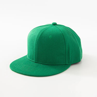 Low Moq Promotionele Custom Flat Brim Baseball Snapback Caps Voor Mannen Effen Kleur Sport Hiphop Stijl Kan Worden Aangepast Volgens