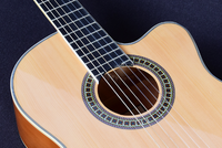 Chinese Stringed Instrument Manufacturer Custom OEM Brand 4/4 Size 6 Nylon String Beginner Classical Electric Guitar