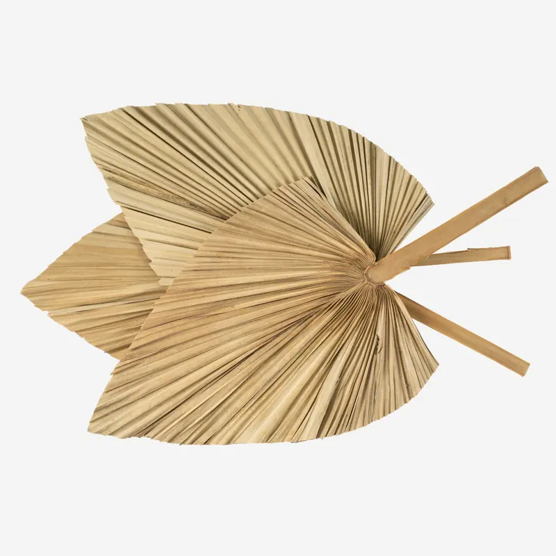 Hot Sale High Quality Dried Flower Bouquet Decorative Flowers Hand Fan Dried Palm Leaves