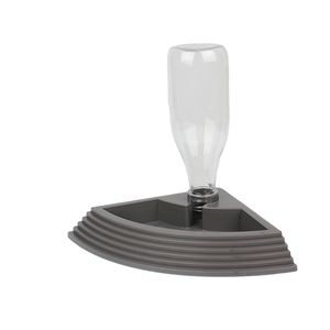 สัตว์เลื้อยคลาน เต่า กระจอก กิ้งก่า สิงโต อีกูยาน่าสีเขียว - Product Image 1