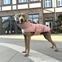 Vêtements pour animaux de compagnie personnalisés en gros, veste réfléchissante de sport pour l'extérieur, vêtements de créateur pour animaux de compagnie, veste imperméable pour chien et chat, hiver, 100% imperméable