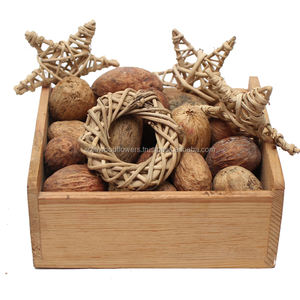 Nouvel Arrivage : Fleurs et Plantes Séchées Décoratives Écologiques Artisanales en Gros, Design Étoilé en Filet pour l'Ambiance Intérieure - Product Image 3