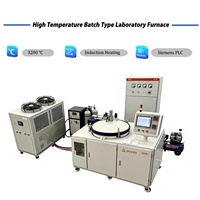 Horno de Grafitización de Laboratorio con Protección de Argón al Vacío y Calentamiento Programable por PLC para Purificación y Modificación Estructural de Grafeno