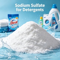 Sulfate de sodium à prix usine, produit chimique très demandé pour les détergents et produits de nettoyage en Chine