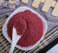 Vente directe d'usine : Poudre de racine de betterave lyophilisée de qualité alimentaire