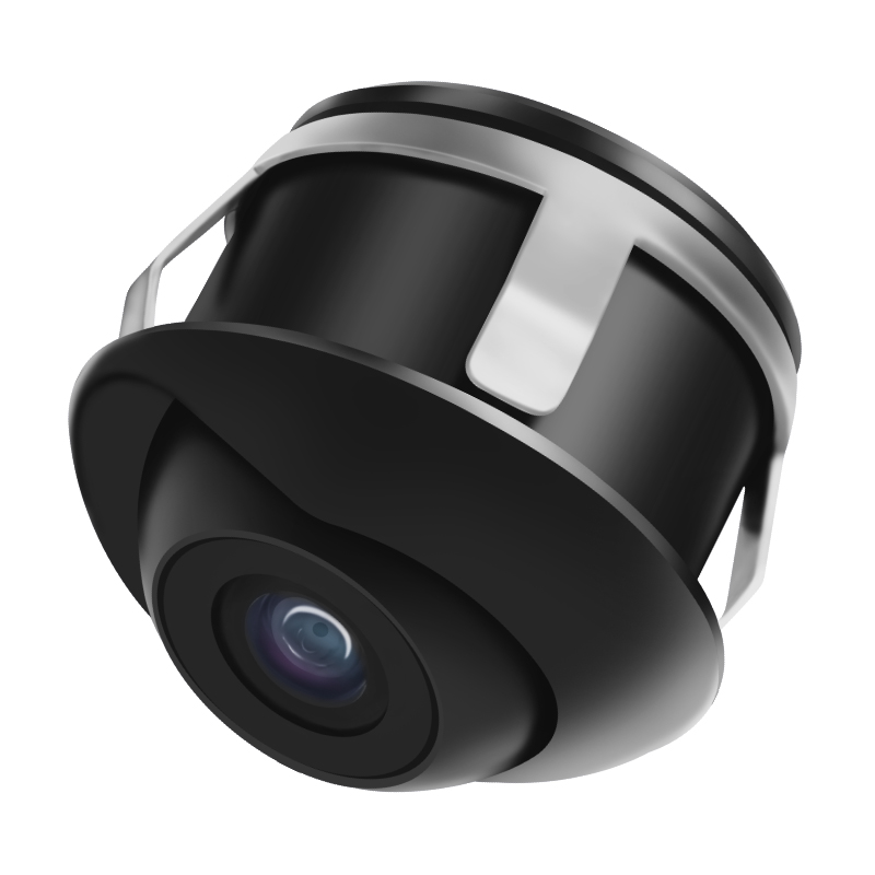 cctv camera mime