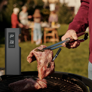 Termômetro Digital Bluetooth Sem Fio Lonnmeter para Churrasco com Sonda de Construção Metálica IP68 à Prova d'Água para Temperatura de Carne - Product Image 2