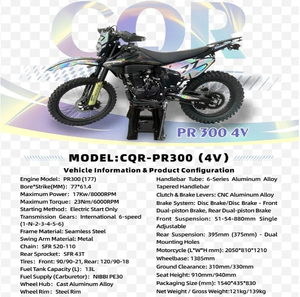 Motocicleta Todoterreno 2026 PR300(4V) (177FMN) 23HP 300cc con Arranque Eléctrico | Motor Monocilíndrico de 4 Tiempos Refrigerado por Aire | 4 Válvulas - Product Image 4