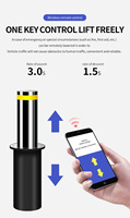 Bollards hydrauliques automatiques de levage électrique de sécurité en acier inoxydable 304, prix de levage automatique, télécommande, stationnement en extérieur
