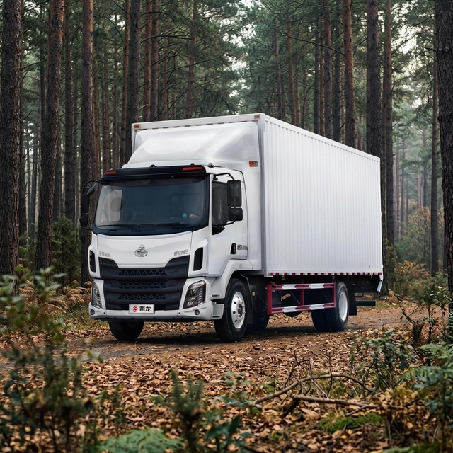 Hot Sale Low Prices M3 4x2 Diesel Yuchai Engine New Medium-sized Cargo Van Truck
