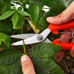 กรรไกรตัดกิ่งไม้ Hg แบบ Bypass ทำจากสแตนเลส สีแดง ขนาด 10-20 มม. สำหรับตัดแต่งกิ่งไม้ผลในสวน - Product Image 3