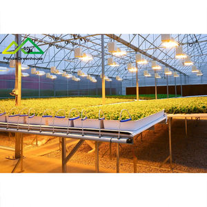 Sistema Hidropónico Avanzado de Gran Escala con Estructura de Acero Galvanizado por Inmersión en Caliente, Invernadero Combinado para Plantación, para una Aumento Exponencial de la Rentabilidad - Product Image 6