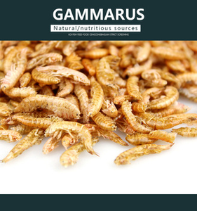 Comida para mascotas <span class=keywords><strong>Gammarus</strong></span> secado al sol para reptiles comida Comida para peces - Product Image 4