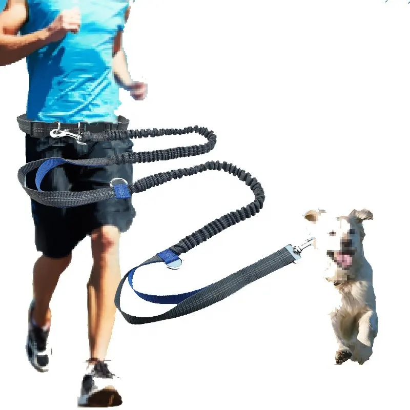 卸売ペット反射犬のナイロンリーシュHands Free Bungee Dog Running Leash