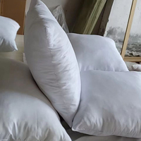 Coussin carré de taille personnalisée rempli de plumes de canard doux et moelleux Coussin décoratif blanc à insérer dans le dossier Coussins pour le bureau