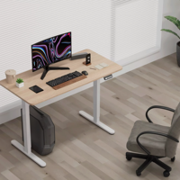 Bureau de travail électrique réglable en hauteur, économique, à moteur unique, en acier, ergonomique, pour position assise ou debout