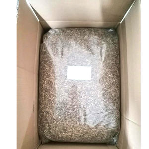 <span class=keywords><strong>Mealworm</strong></span> seca alta proteína em massa para pássaro selvagem 5 kg - Product Image 1