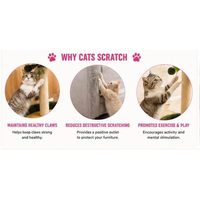 Pawfect Palm Tree Cat Scratching Post Tinggi 21,7 Inci dengan Karpet dan Mainan Pom Pom, Tahan Lama untuk Semua Ras Kucing, 1 Tingkat untuk Memanjat