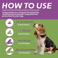 Pet Yuan formule personnalisée en gros probiotiques à mâcher améliorer la digestion diarrhée enzymes digestives chien probiotique à mâcher