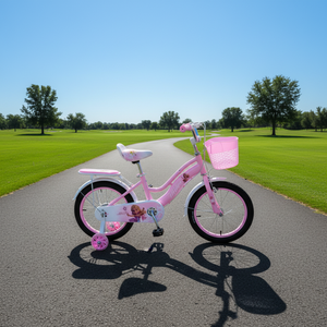 Vélo robuste pour enfants en acier à haute teneur en carbone, design élégant avec peinture laquée, <span class=keywords><strong>frein</strong></span> à disque avant et <span class=keywords><strong>frein</strong></span> à ruban arrière, vente en gros en stock - Product Image 5
