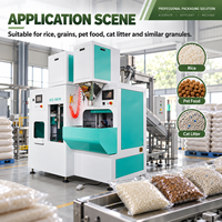 Machine d'emballage sous vide automatique pour riz, haricots, litière pour chat, aliments pour animaux de compagnie, emballage de sacs à deux côtés et six côtés